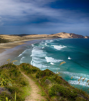 神经网络模型的cc网页端